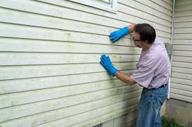 Best Wood Siding Installation  in Harlem Heights, FL